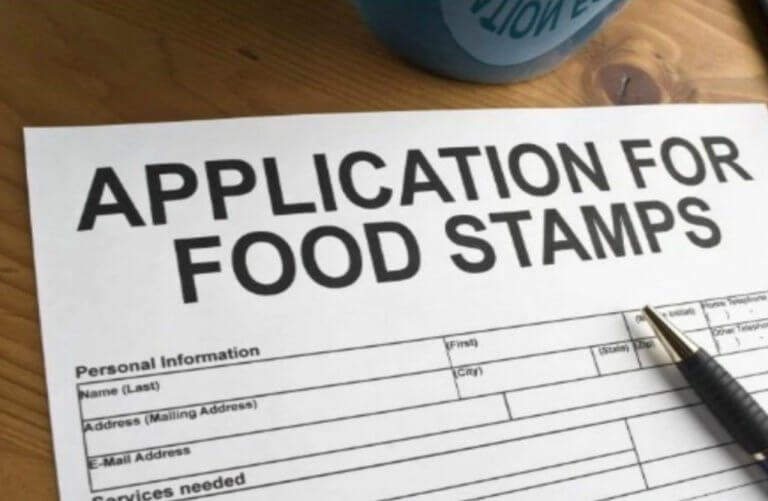 food stamp application status