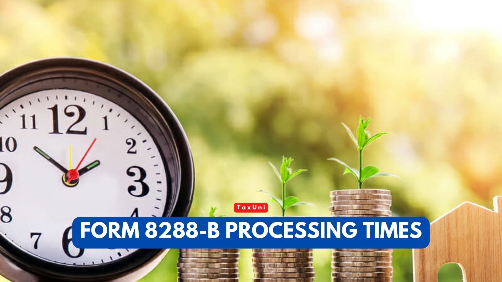 Form 8288 B Processing Time