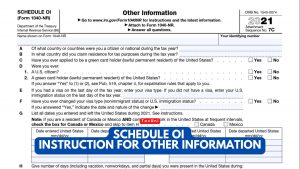 Schedule OI - Instruction For Other Information