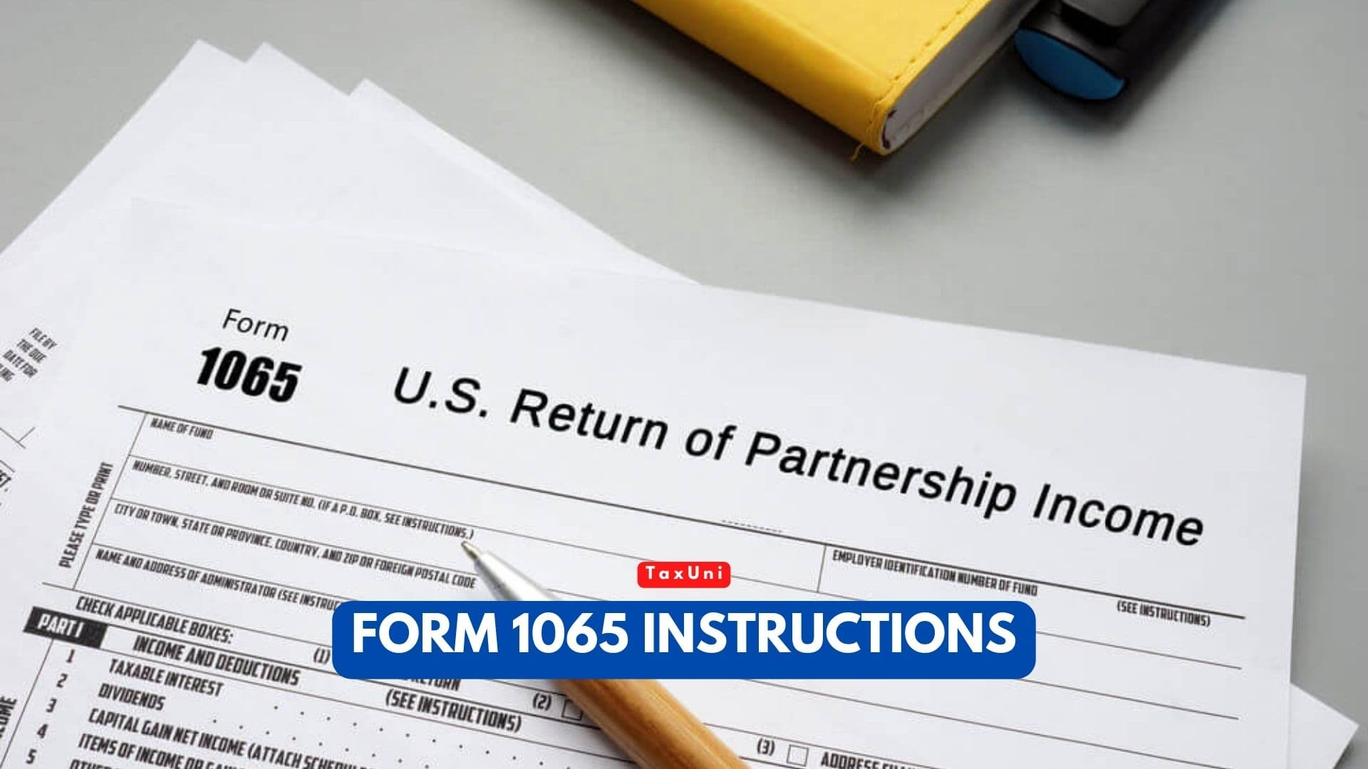 Form 1065 Instructions 2023 2024