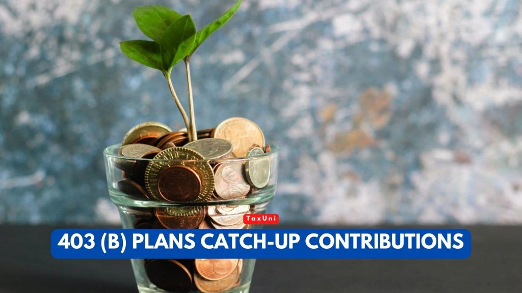 403 (b) Plans CatchUp Contributions