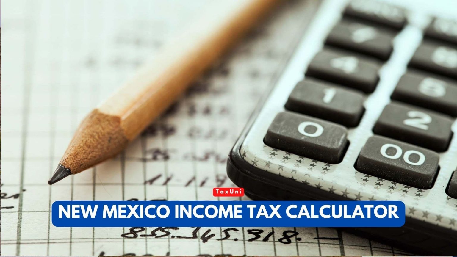 New Mexico Income Tax Calculator 2023 2024