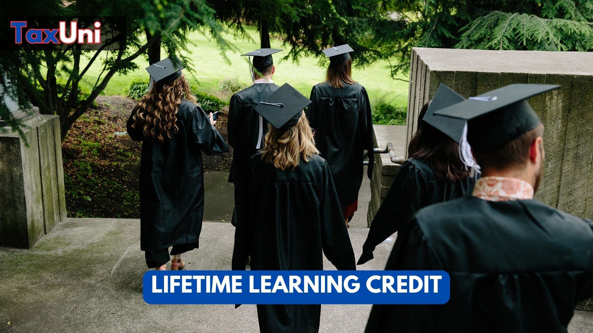 Lifetime Learning Credit 2024   Lifetime Learning Credit 