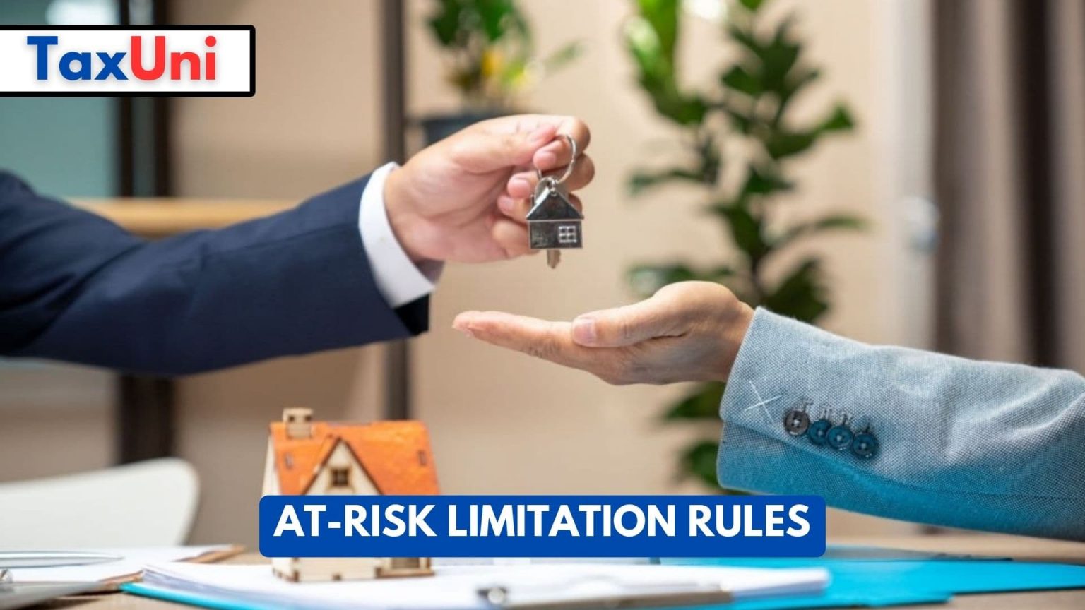 at-risk-limitation-rules