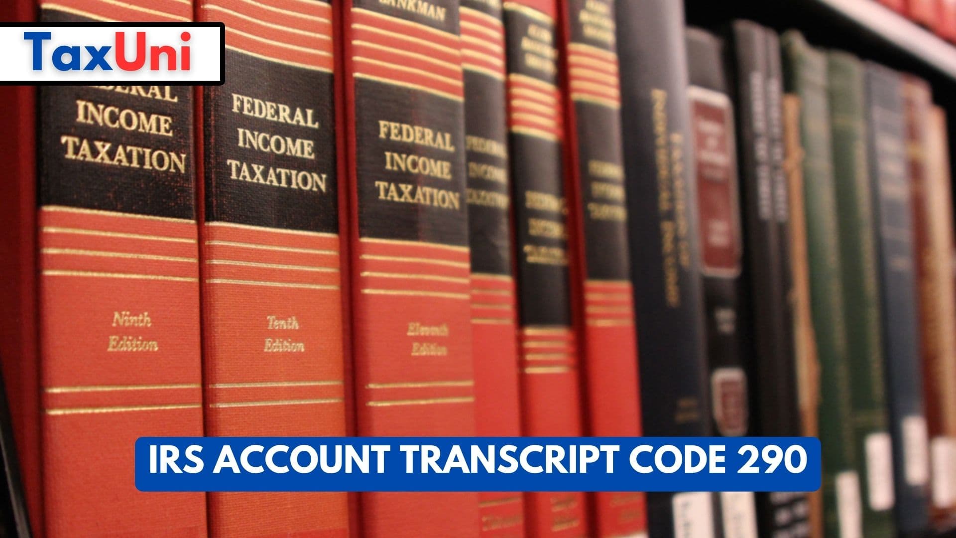 IRS Account Transcript Code 290