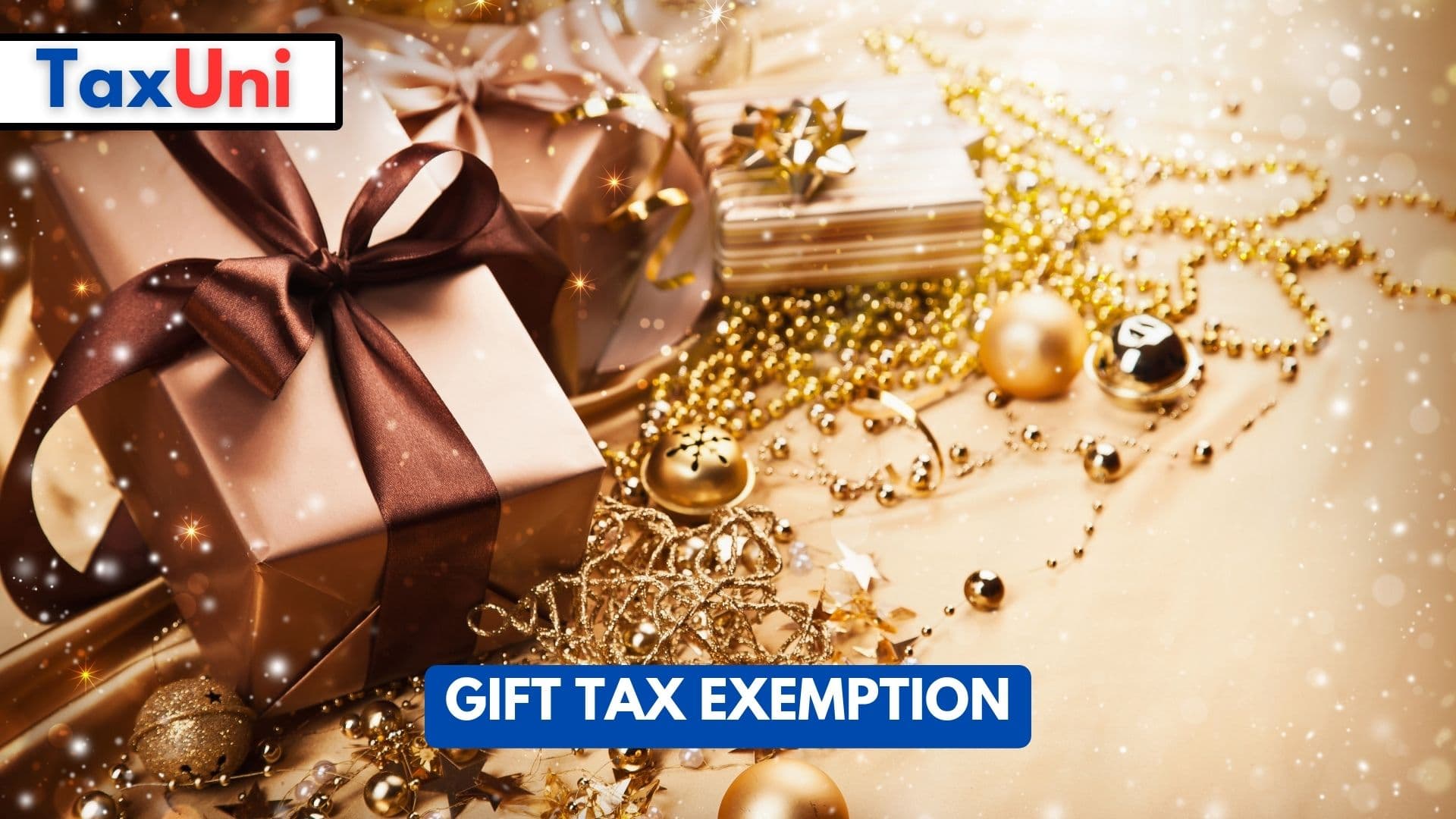 Gift Tax Exemption 2023 2024