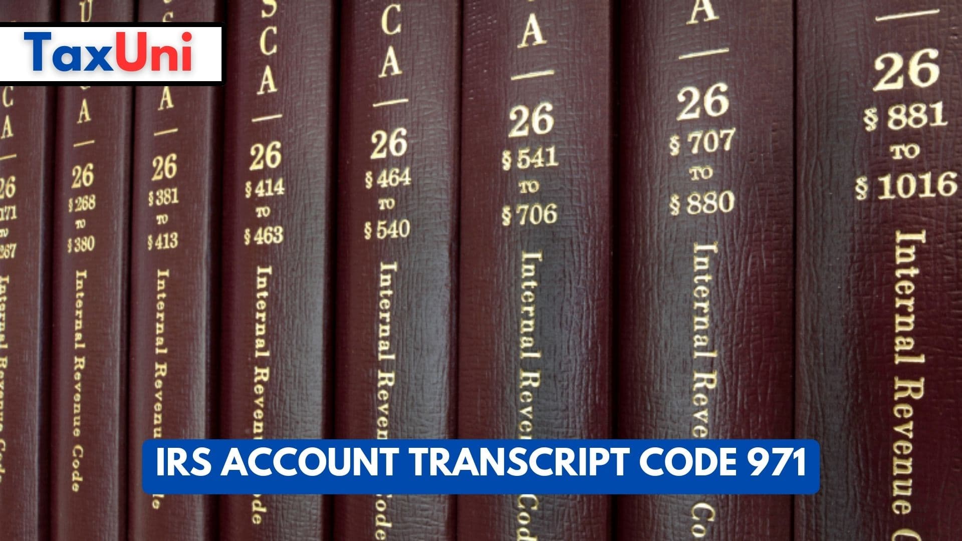 IRS Account Transcript Code 971