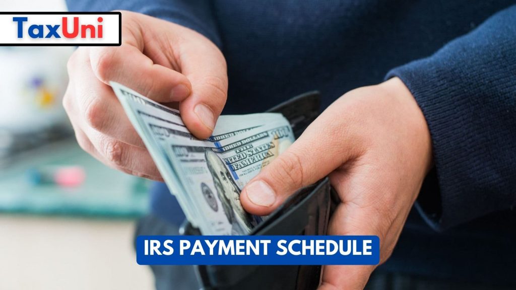 IRS Payment Schedule 2023