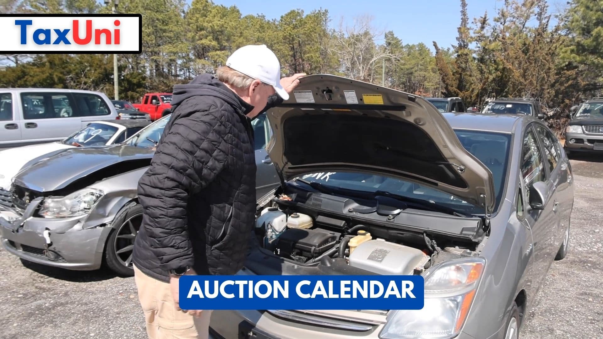 Auction Calendar 2024