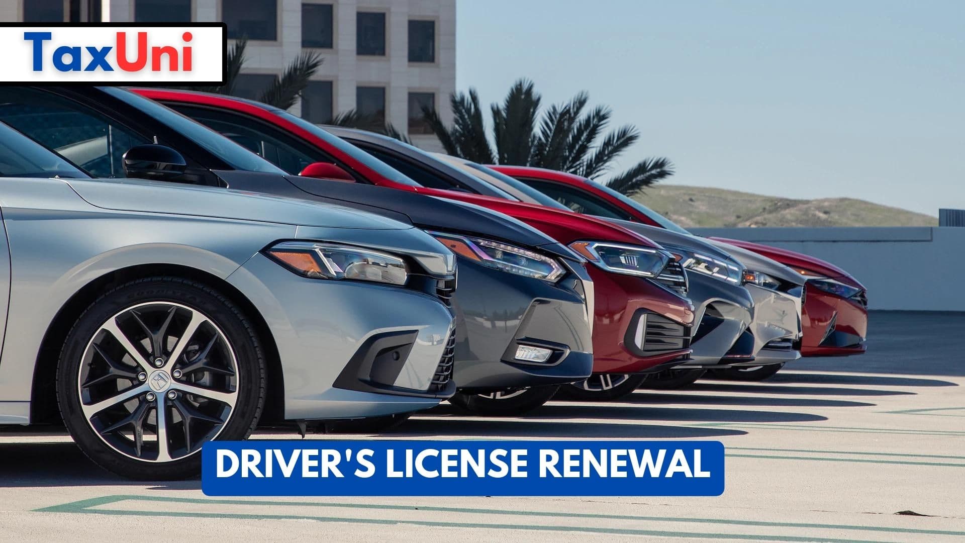 Driver's License Renewal