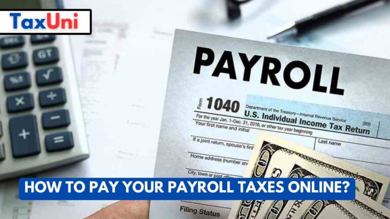 How To Pay Your Payroll Taxes Online 6413