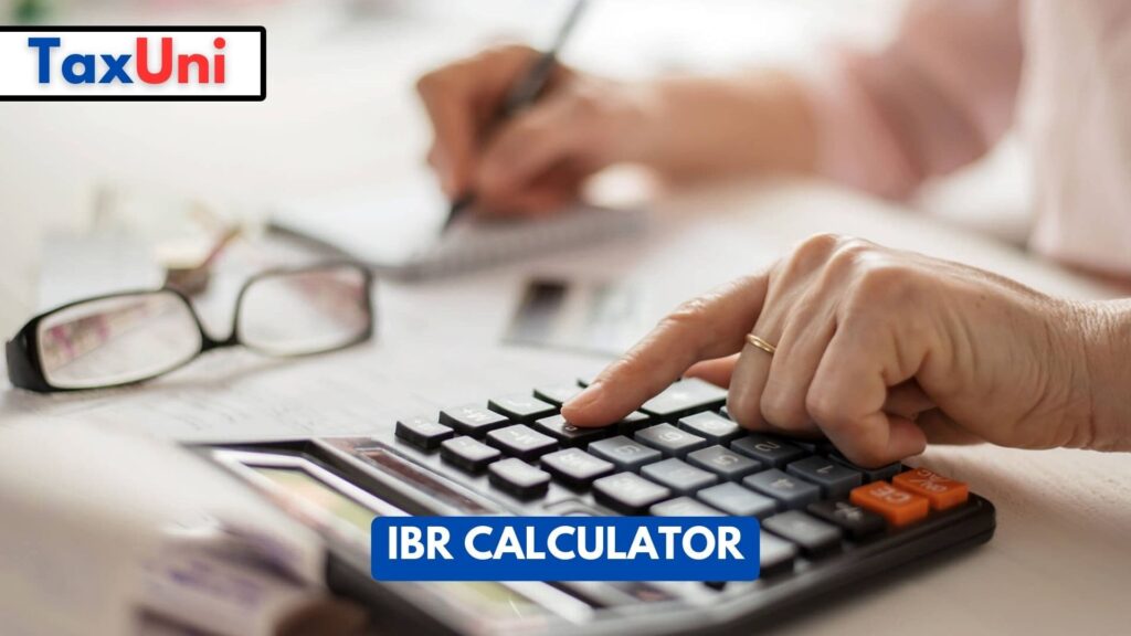 IBR Calculator 2024