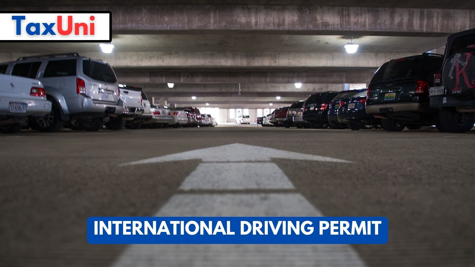 International Driving Permit   International Driving Permit 