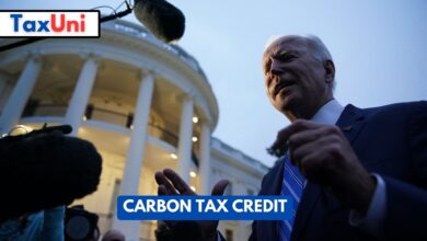 Carbon Tax Credit