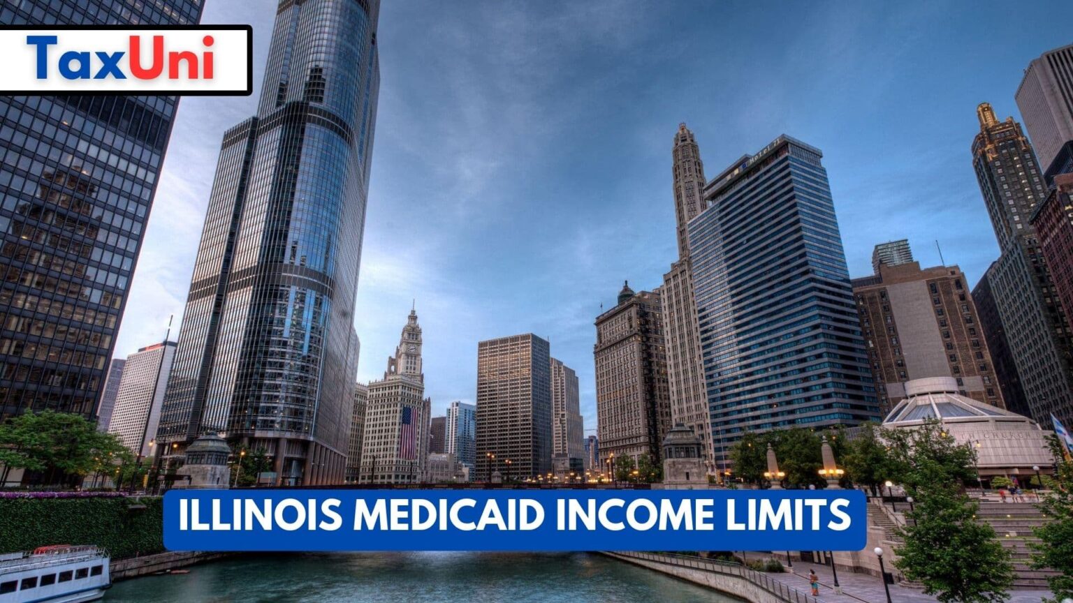 Illinois Medicaid Limits 2024