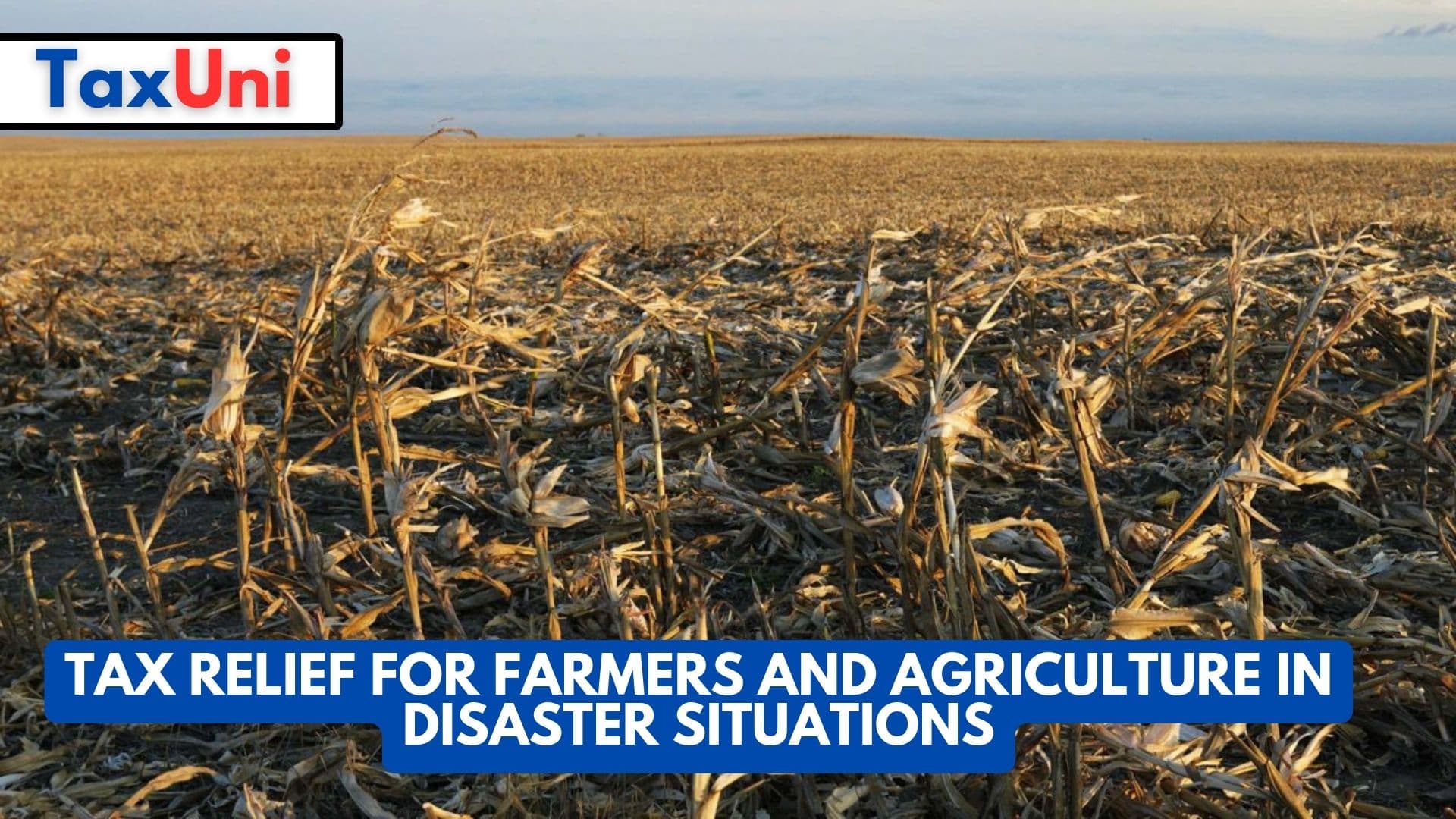 Tax Relief for Farmers and Agriculture in Disaster Situations