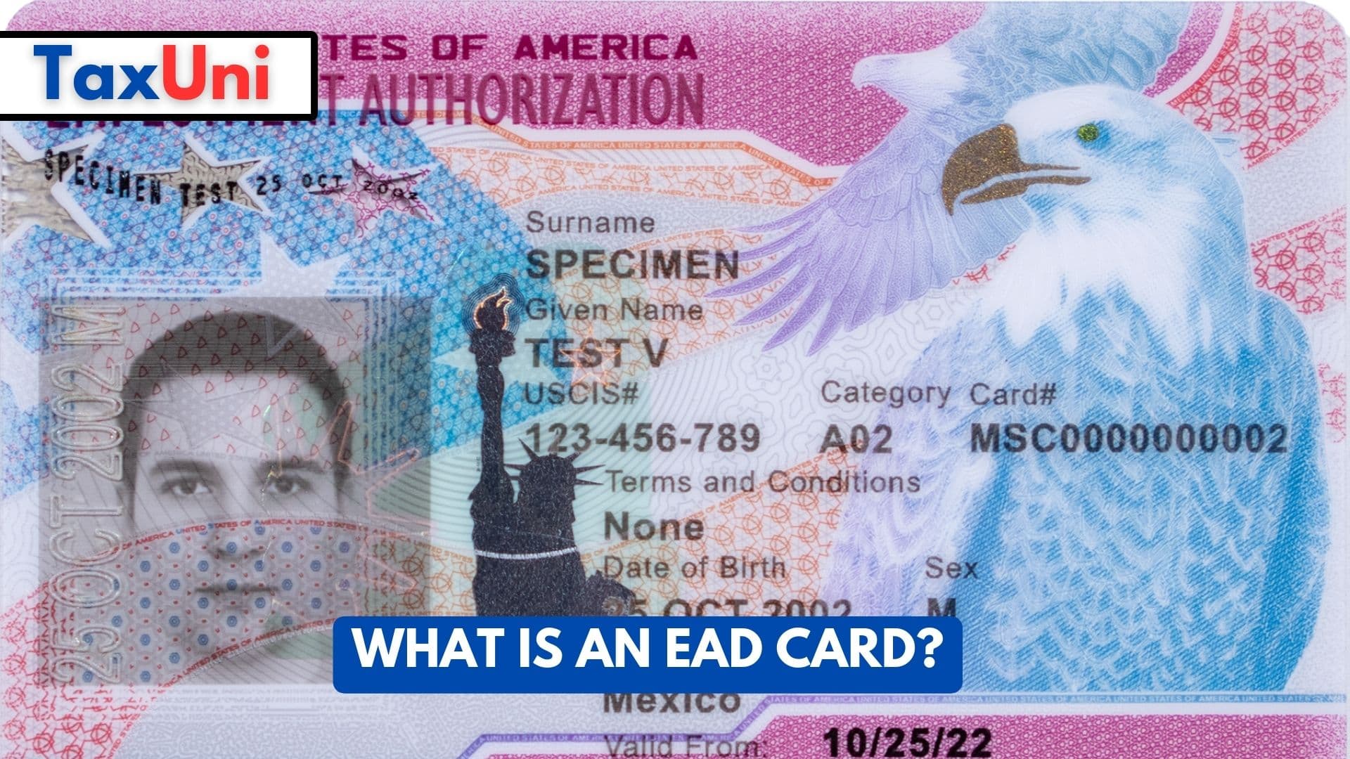 What is an EAD Card