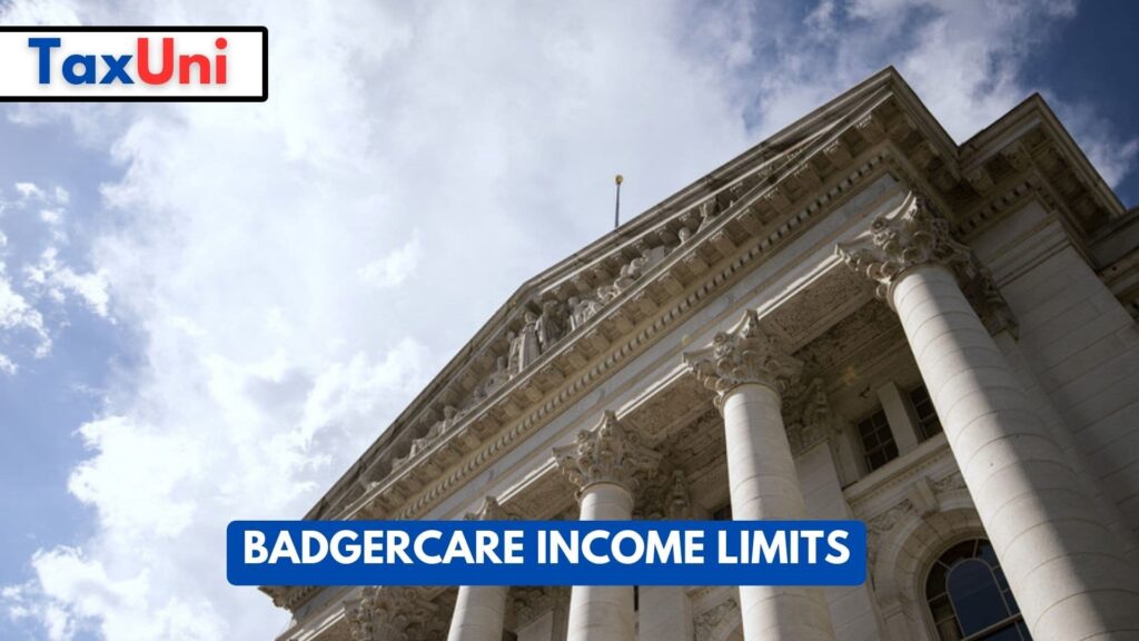 BadgerCare Limits 2024