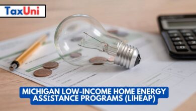 Michigan Low-Income Home Energy Assistance Programs (LIHEAP)