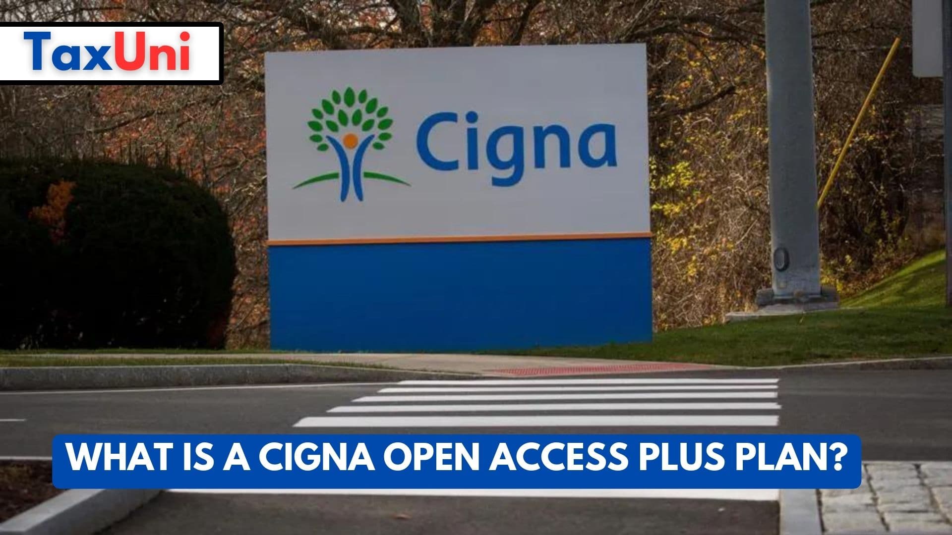 What is a Cigna Open Access Plus Plan?