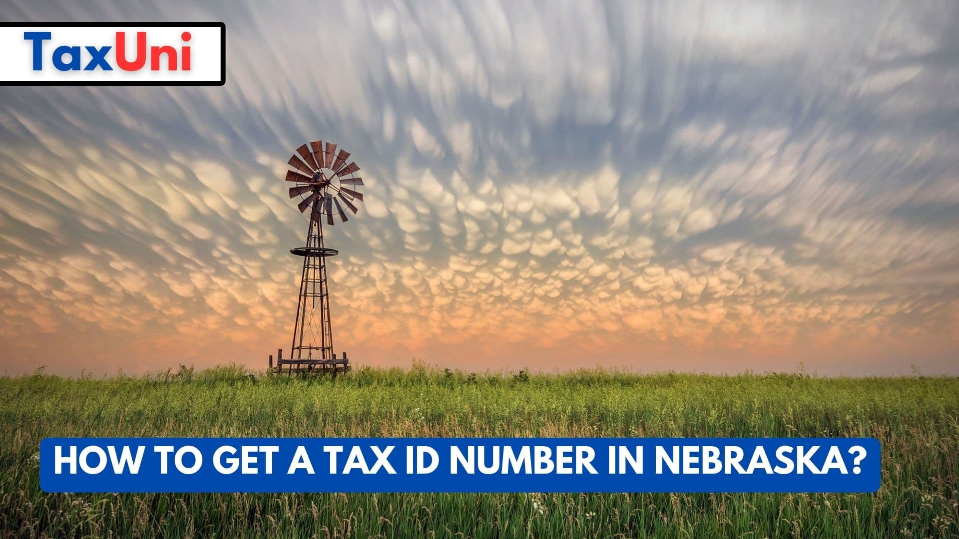 How to Get a Tax ID Number in Nebraska