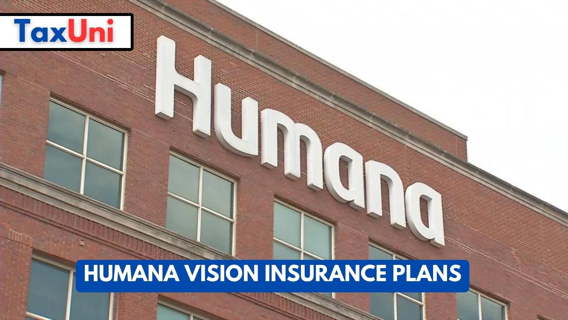 Humana Vision Insurance Plans 2024