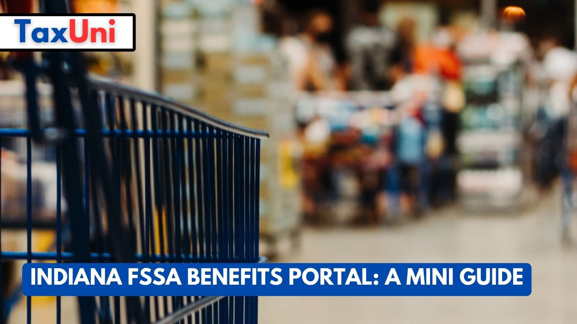 Indiana FSSA Benefits Portal A Mini Guide