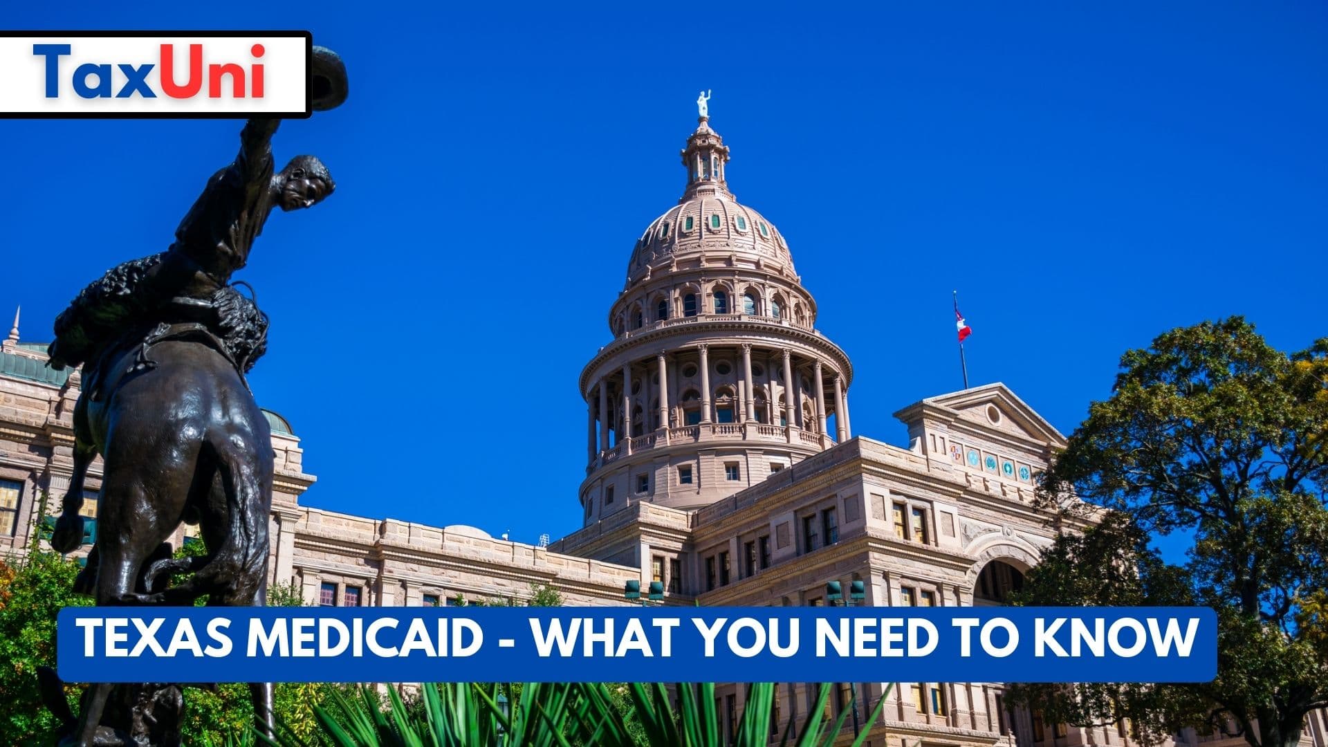 Texas Medicaid - What You Need to Know