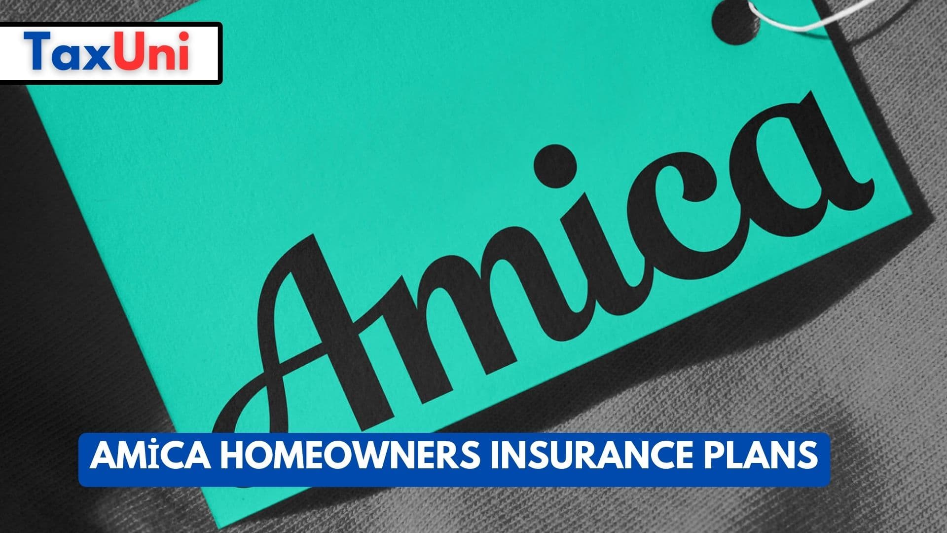 Amica Homeowners Insurance Plans 2024