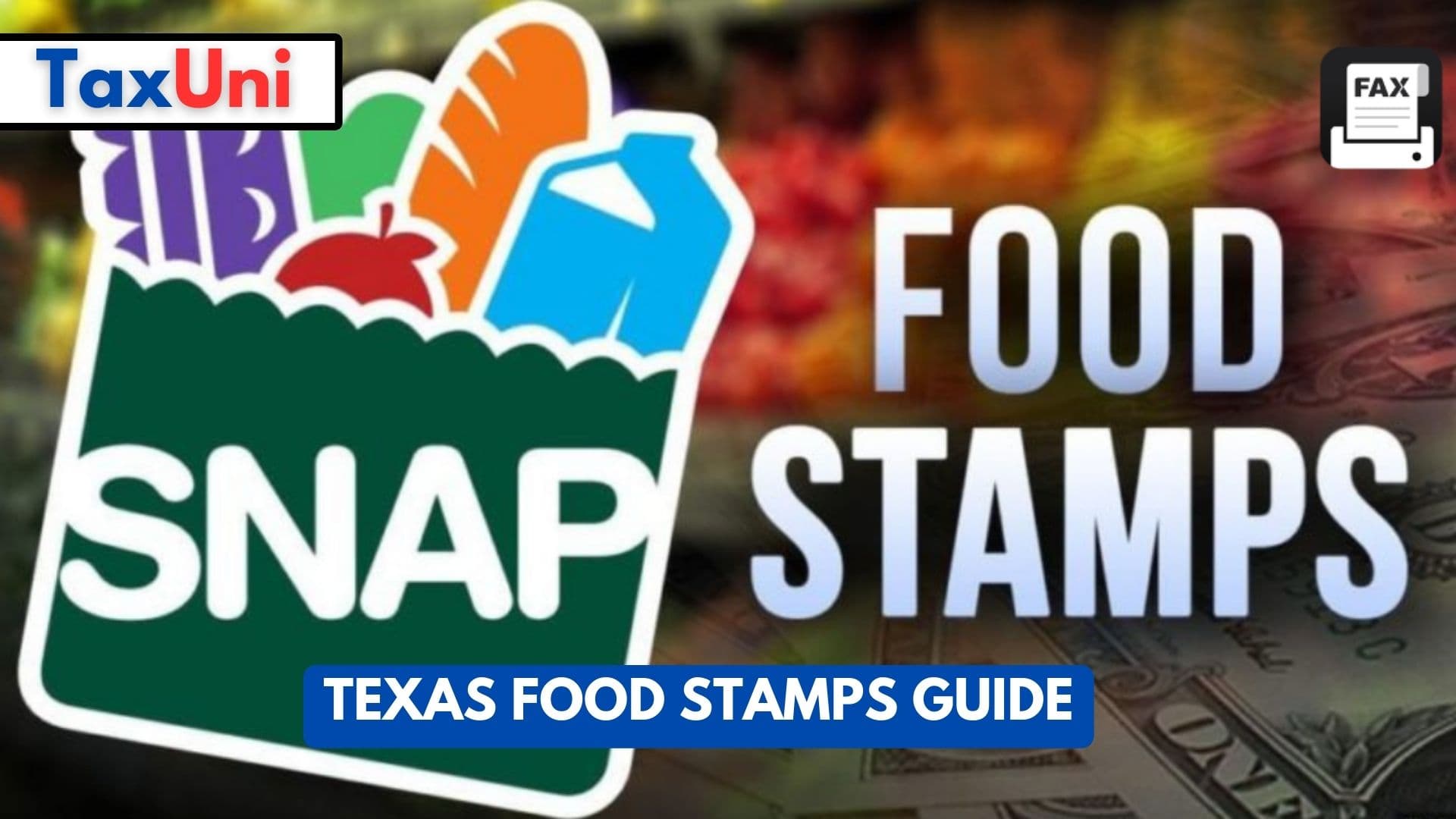 Texas Food Stamps Guide