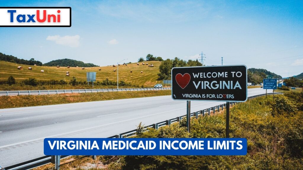 Virginia Medicaid Limits 2024