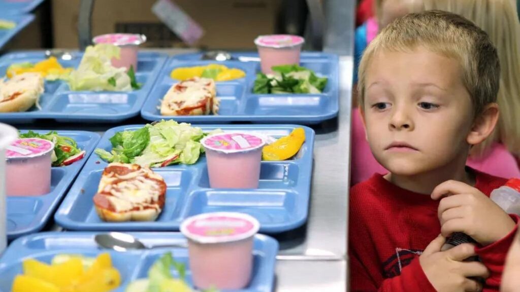 Eligibility Guidelines For Free and Reduced School Lunch 2023 2024