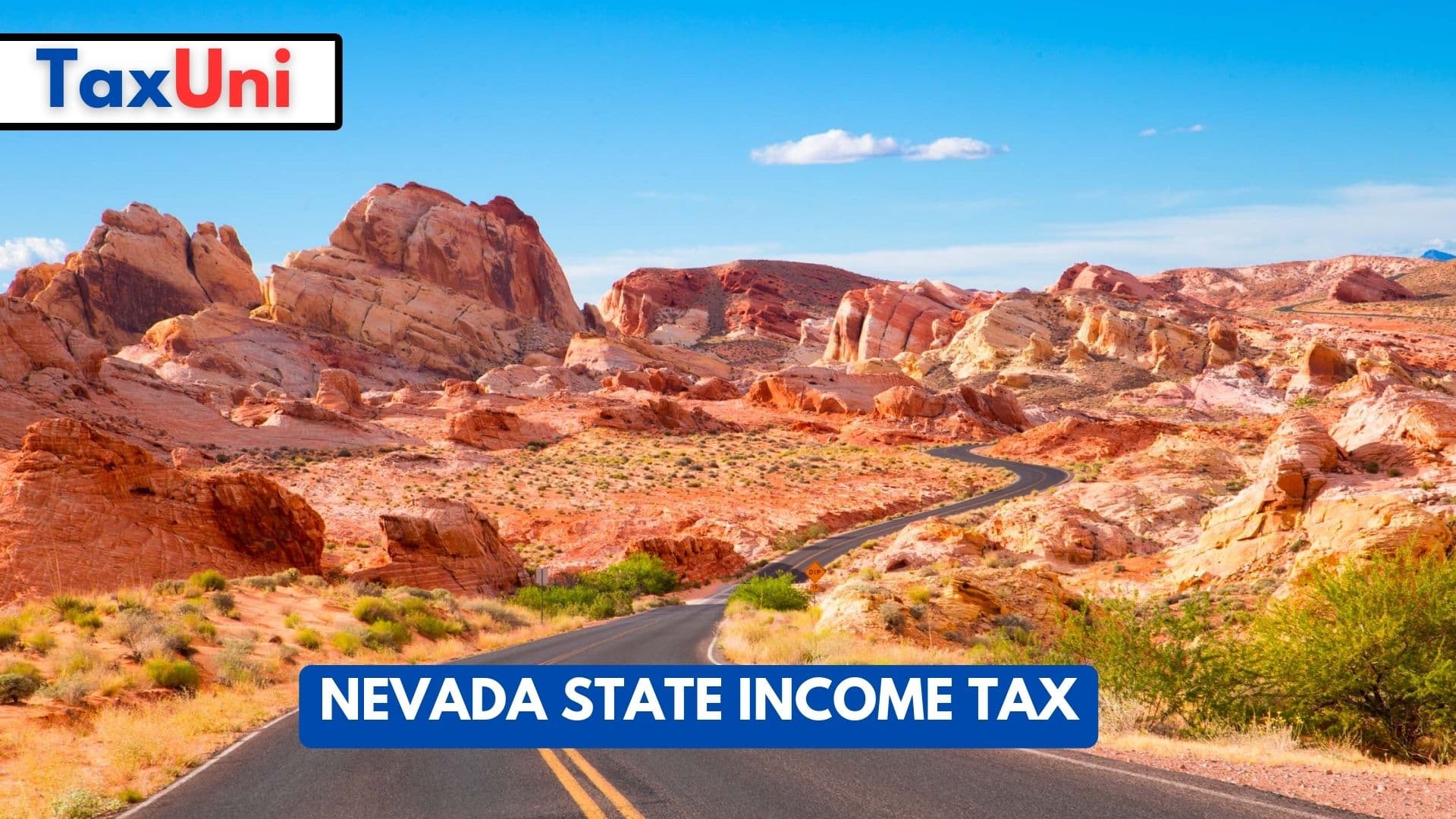 Nevada State Tax 2023 2024