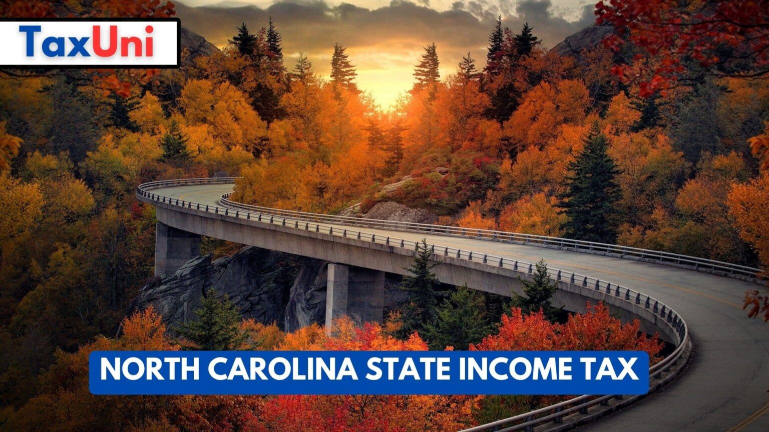 Nc State Tax Standard Deduction 2024 Lib Stacee