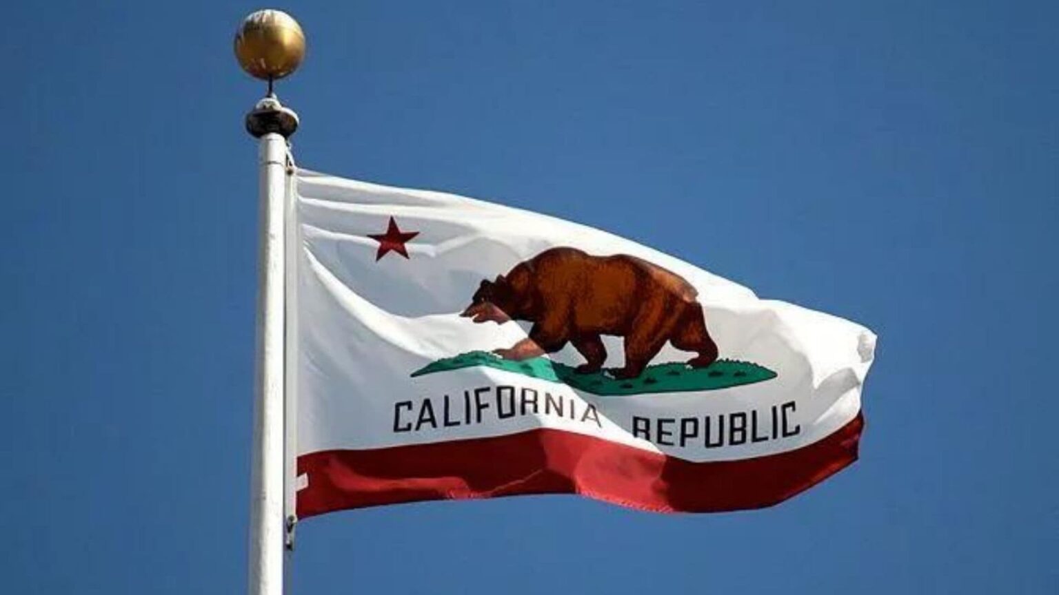 California Business Taxes 2023 2024