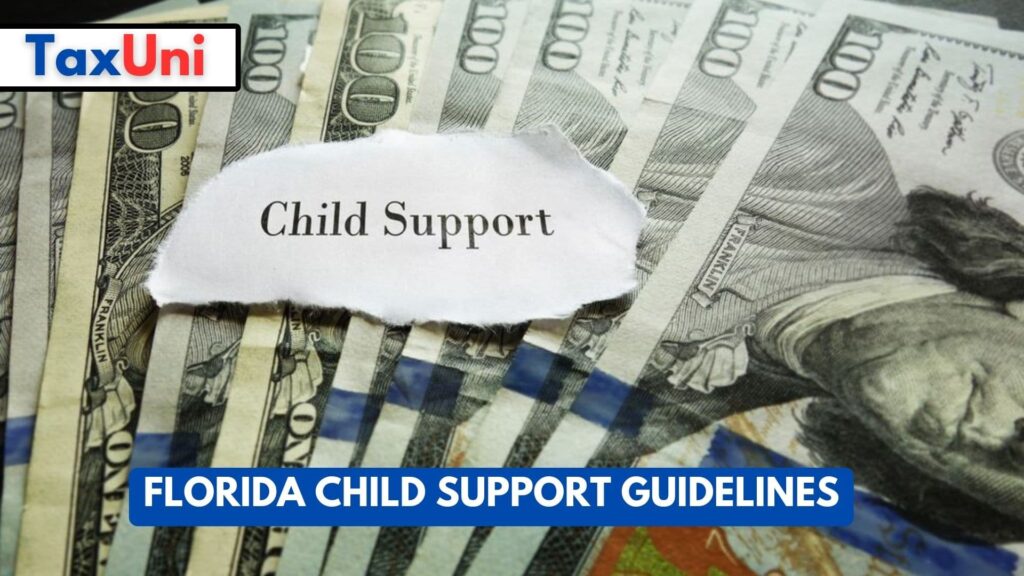 Florida Child Support Guidelines 2024