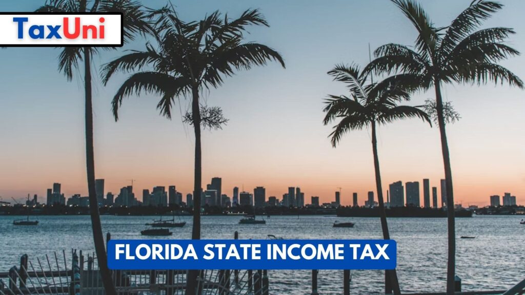 Florida State Tax 2023 2024