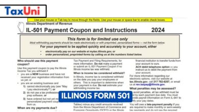 Illinois Form 501