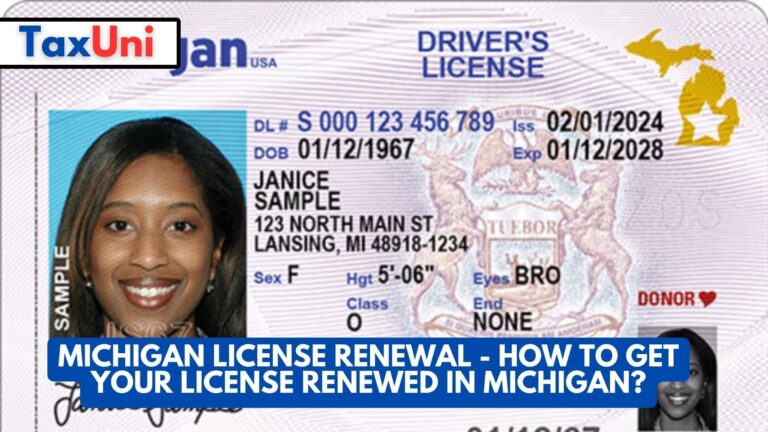 Michigan License Renewal How To Get Your License Renewed In Michigan   Michigan License Renewal How To Get Your License Renewed In Michigan 768x432 