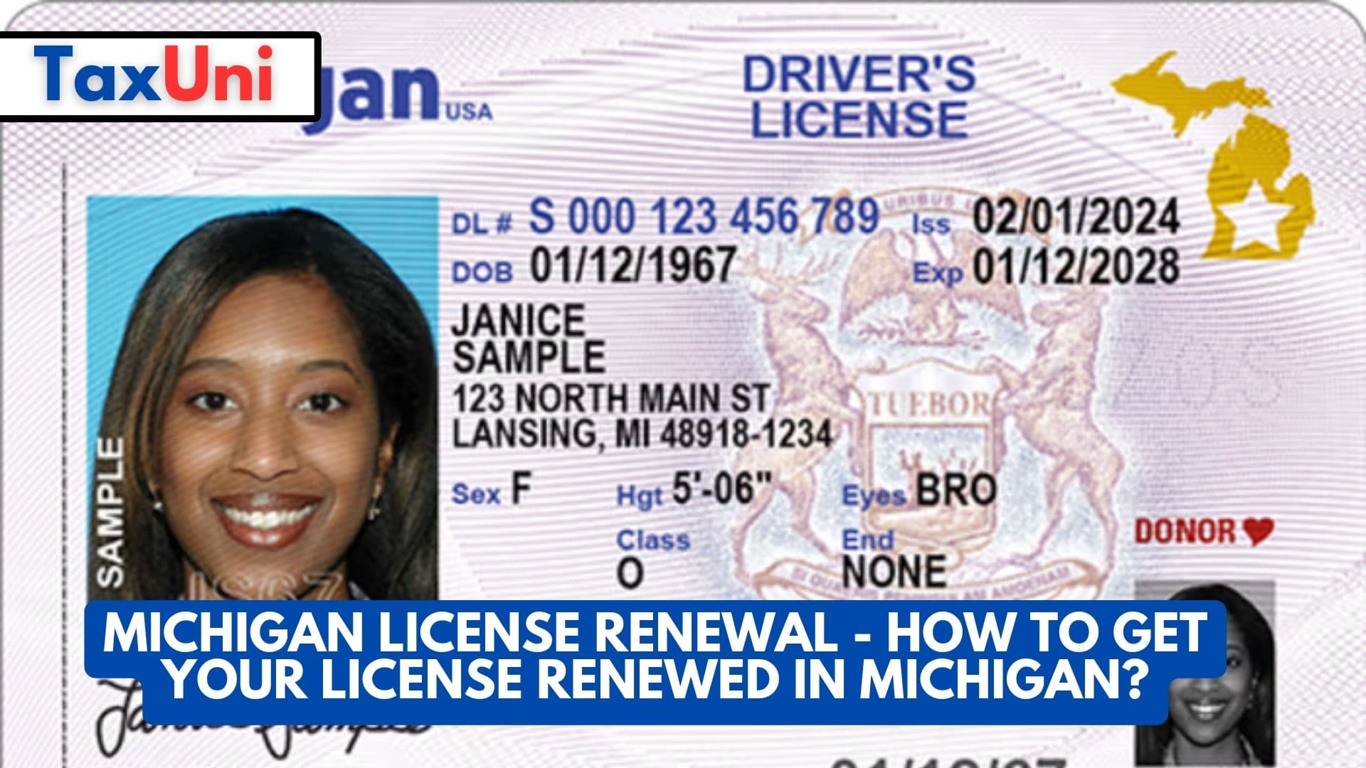 Michigan License Renewal How To Get Your License Renewed In Michigan   Michigan License Renewal How To Get Your License Renewed In Michigan 