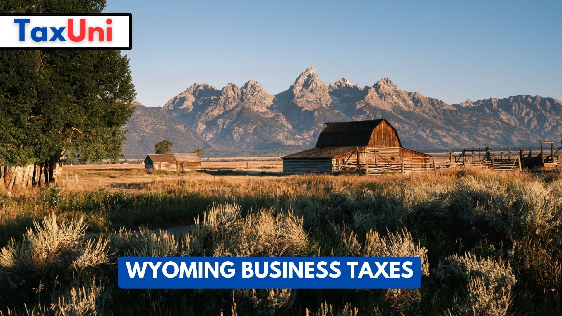 Wyoming Business Taxes