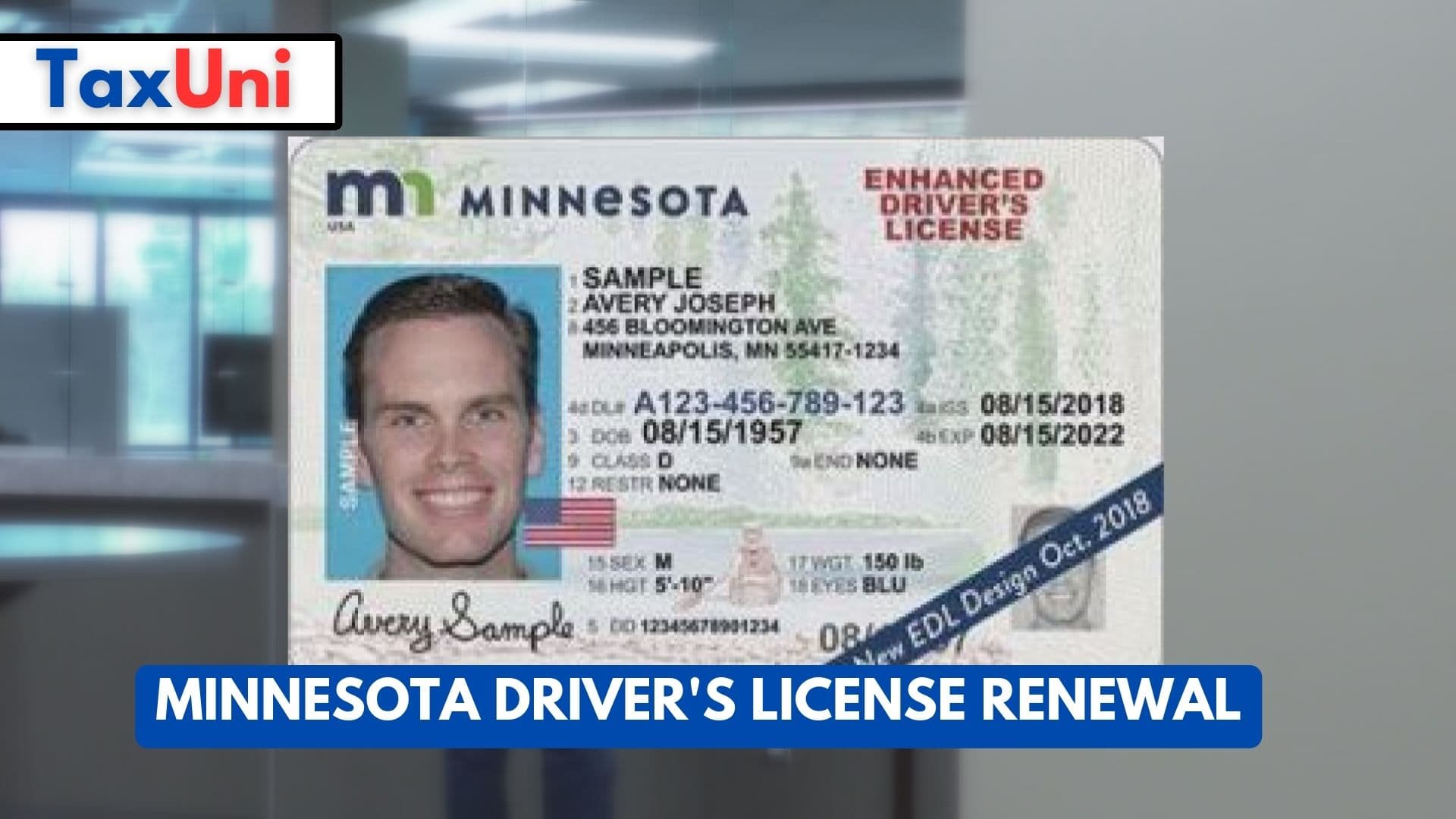 Minnesota Driver's License Renewal