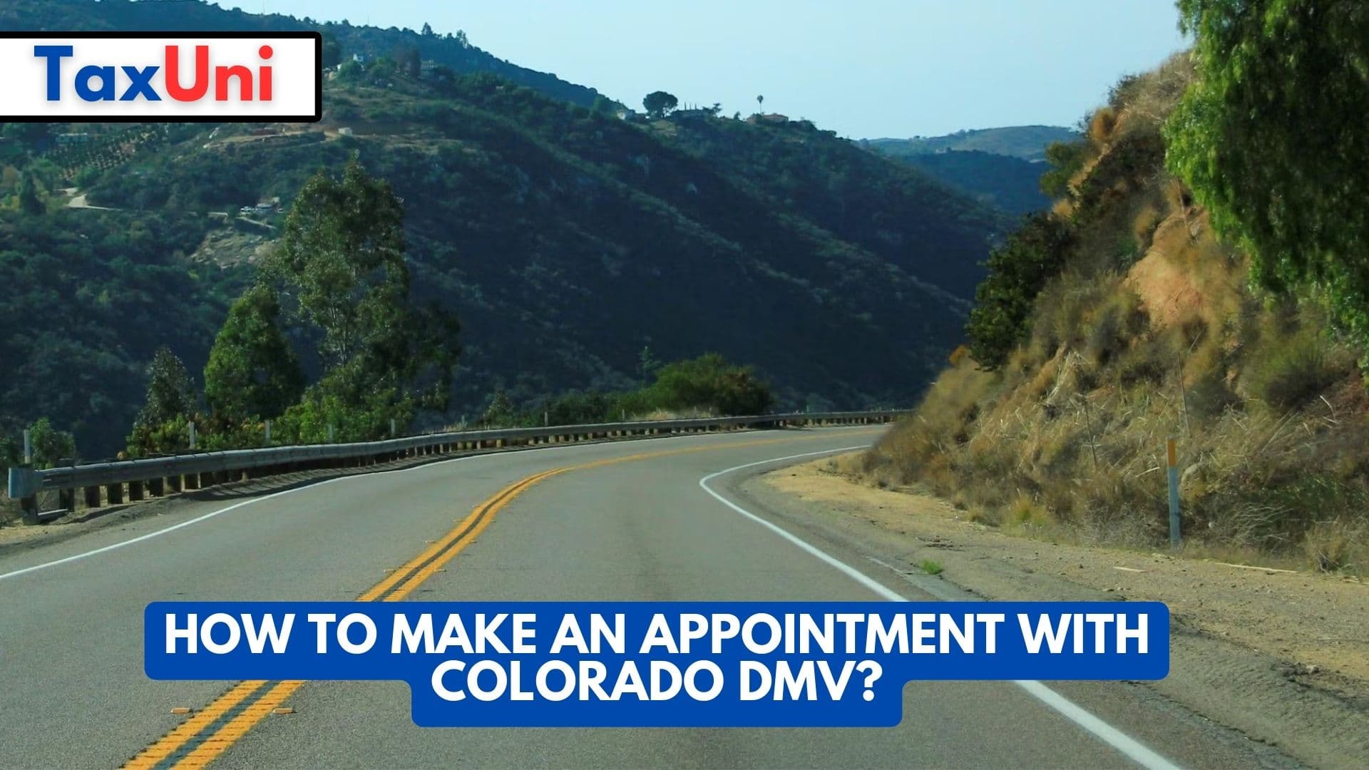 How to Make an Appointment with Colorado DMV?