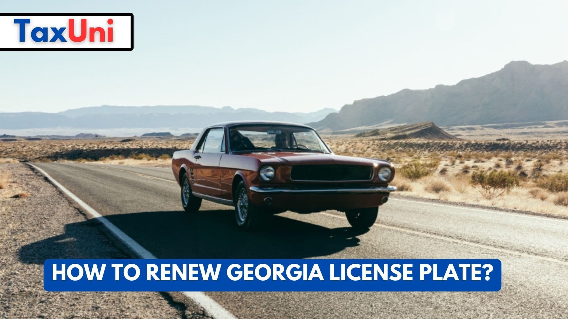 How to Renew Georgia License Plate