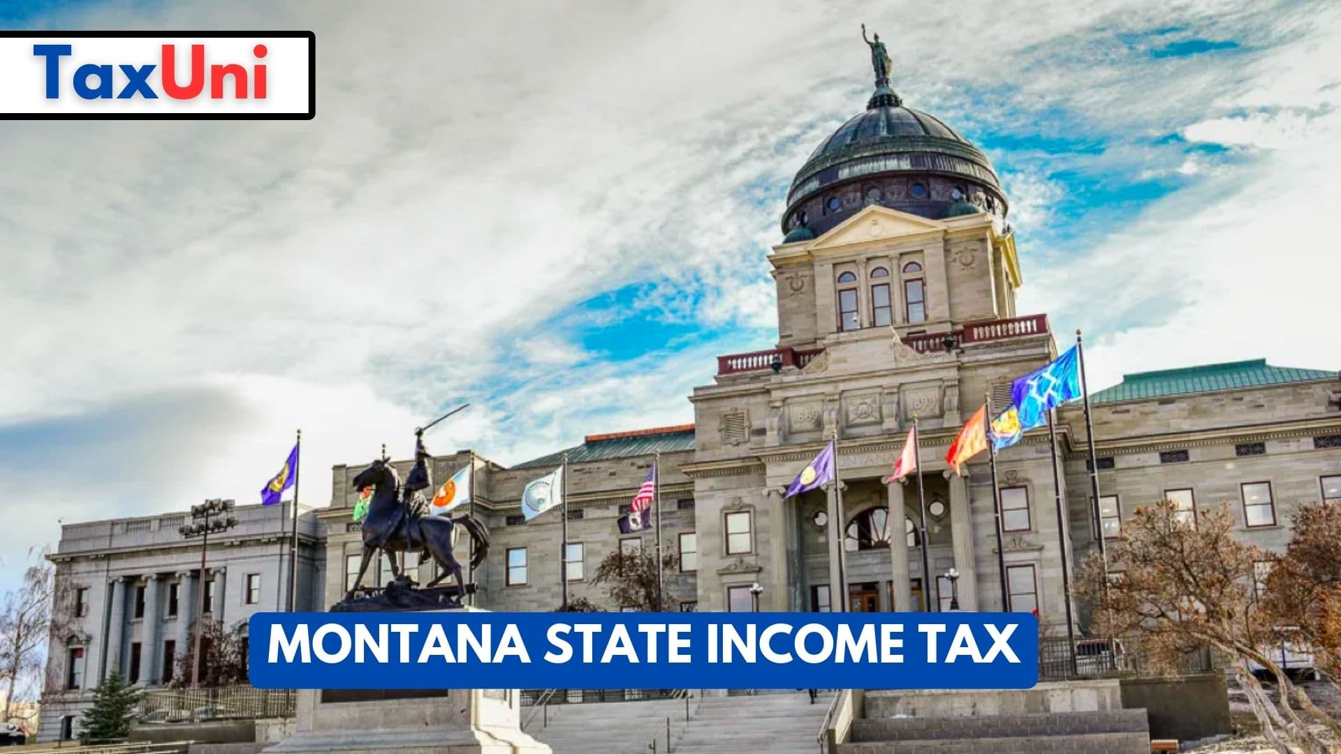 Montana State Tax