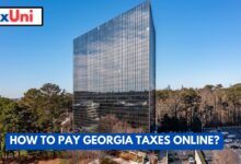 How to Pay Georgia Taxes Online?