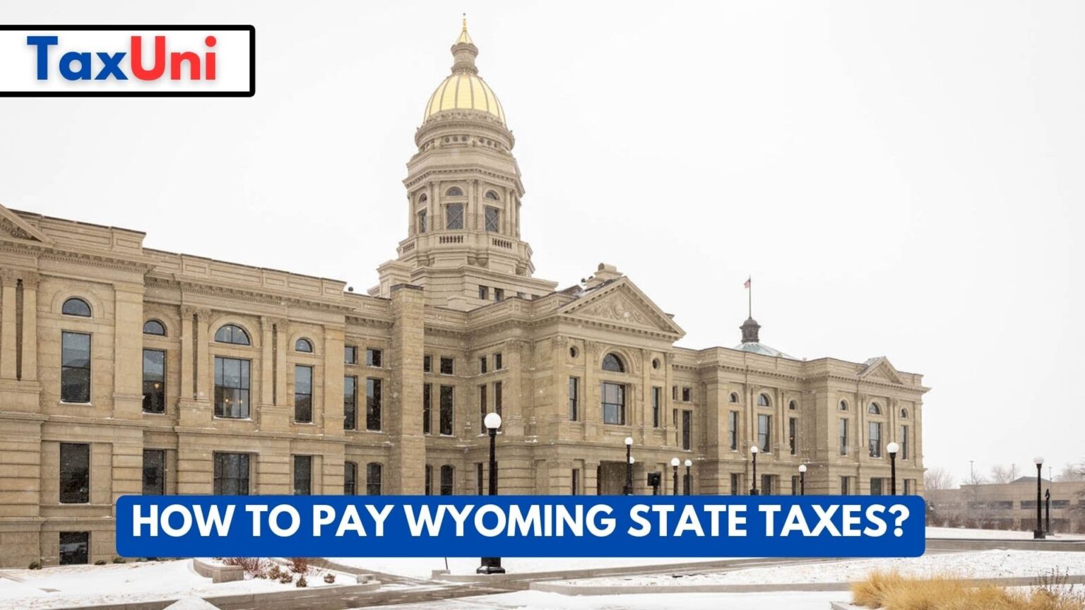 How to Pay Wyoming State Taxes?