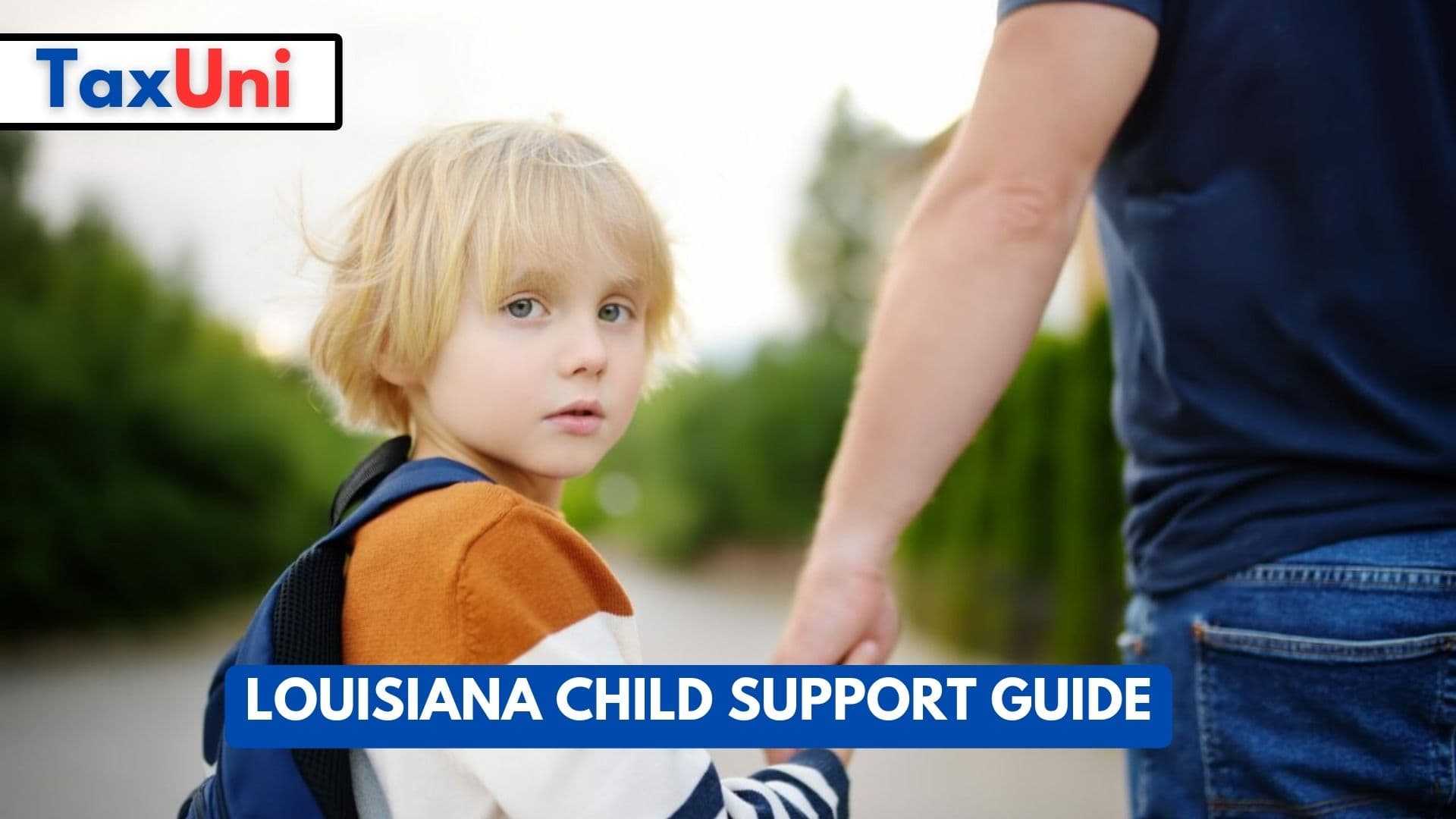 Louisiana Child Support Guide