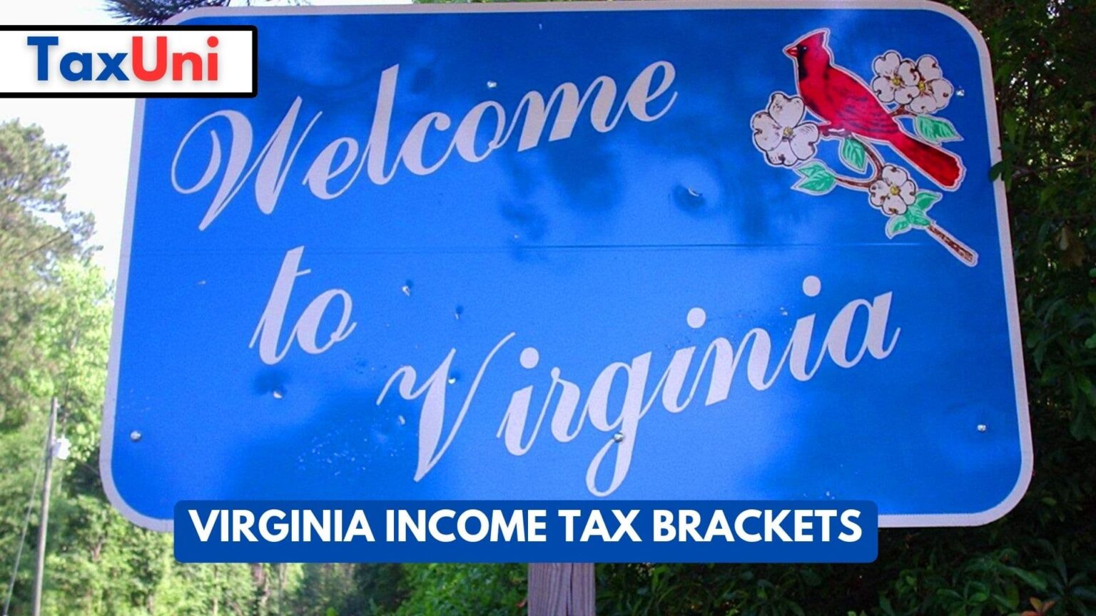 Virginia Tax Brackets 2024 2025