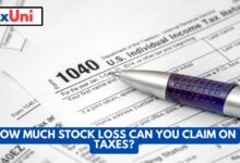 How Much Stock Loss Can You Claim on Taxes